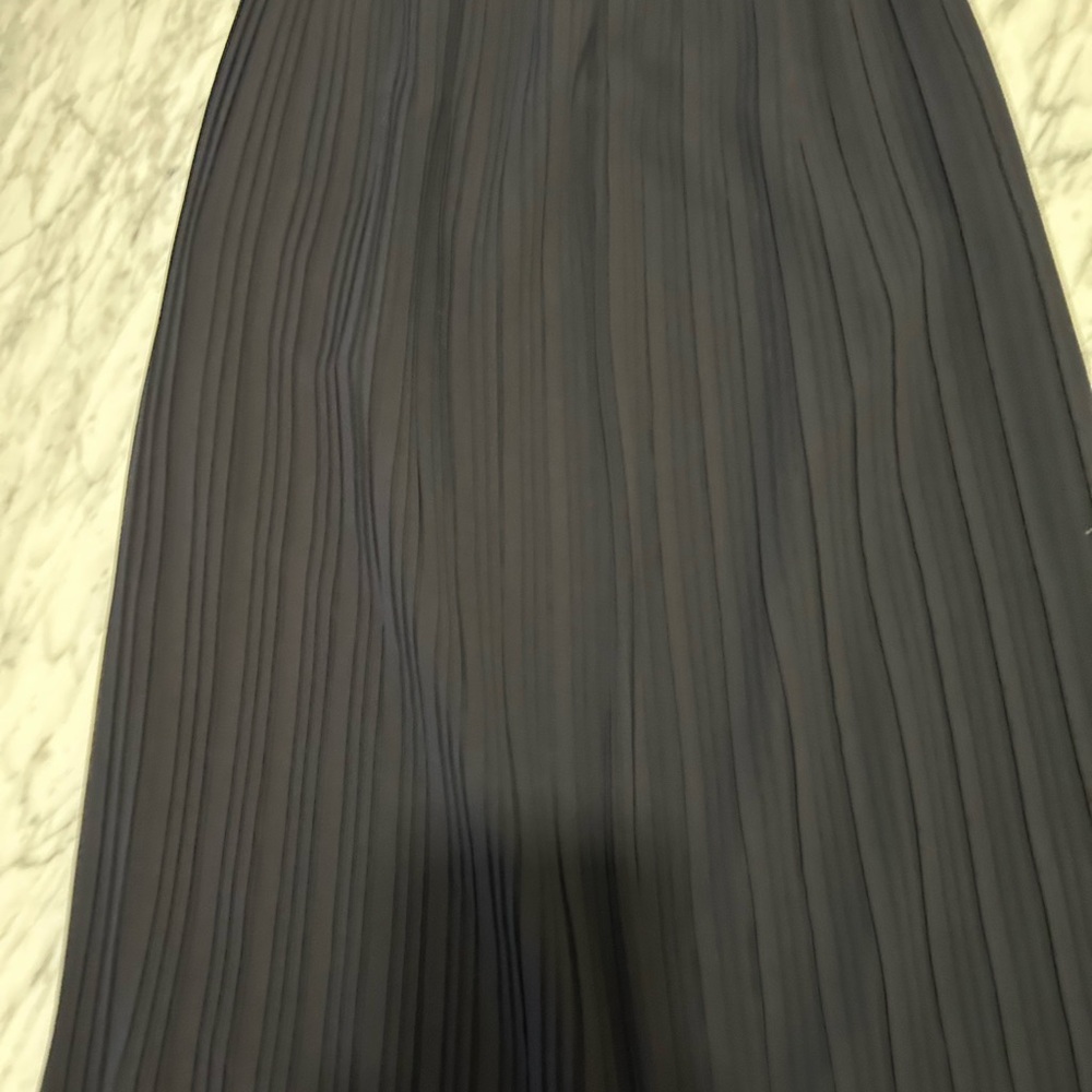 Zara Elegant Black Pleated Skirt